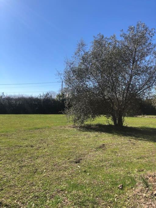 Gite La Lezardiere Acces Prive Canal Du Midi ** Castelnaudary Zewnętrze zdjęcie