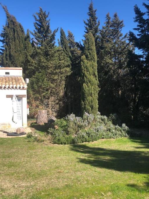 Gite La Lezardiere Acces Prive Canal Du Midi ** Castelnaudary Zewnętrze zdjęcie